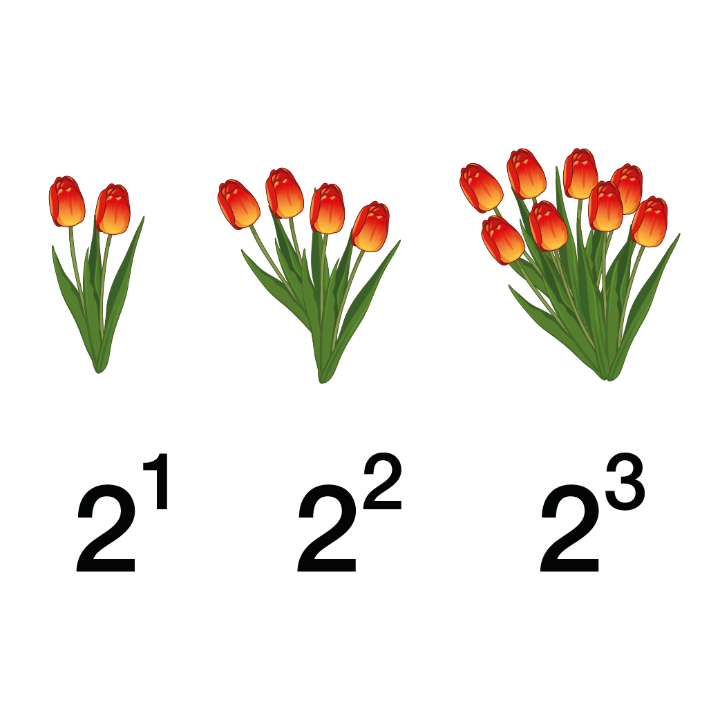 Potenzen und Wurzeln